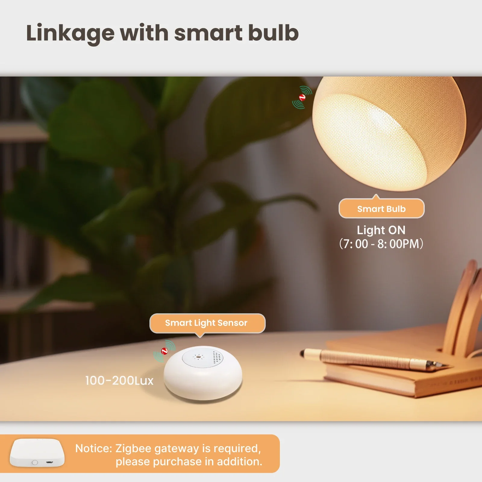 MOES Tuya Zigbee Akıllı Işık S - Home Automation Technology incelemesi ve fiyatı
